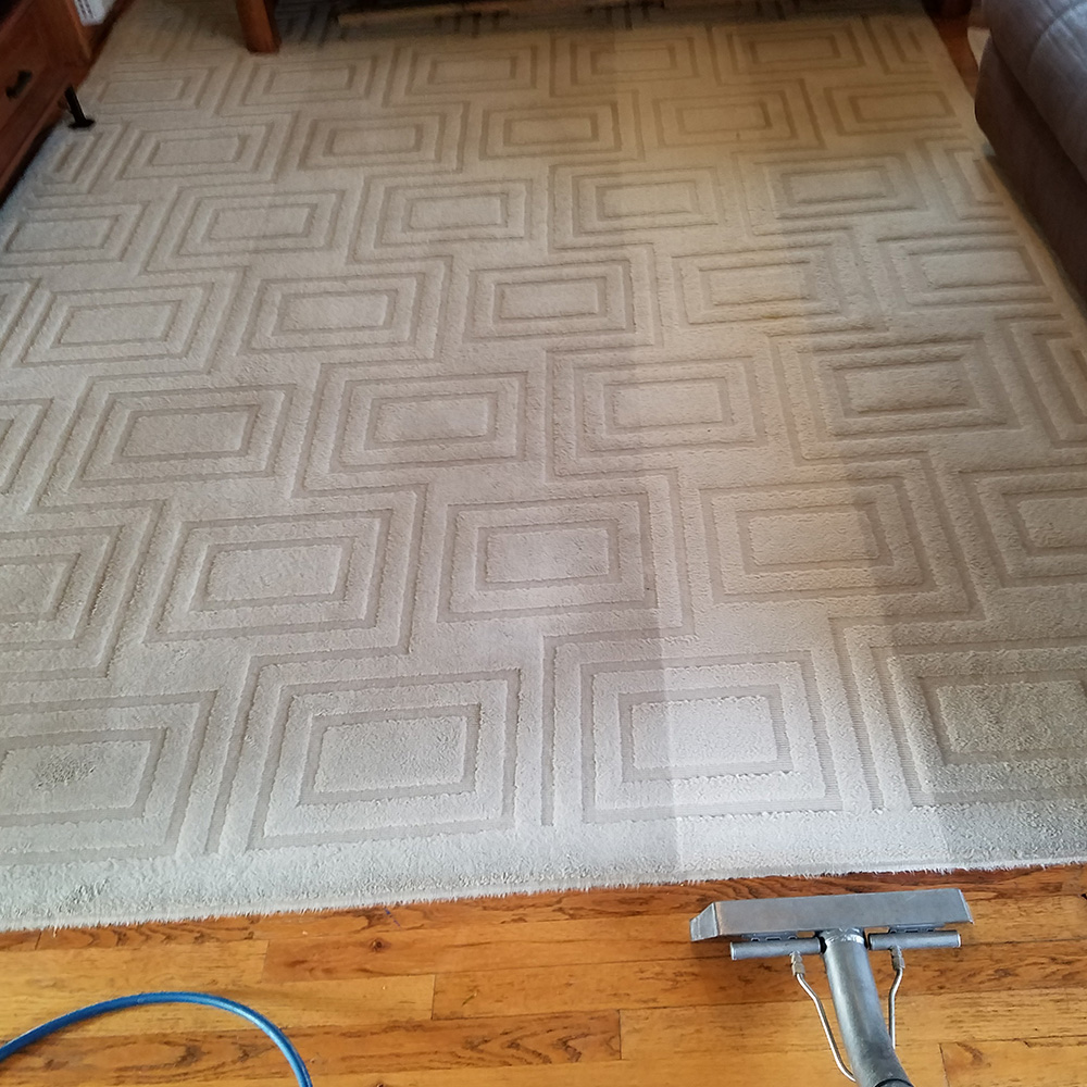 Residential Carpet Cleaning