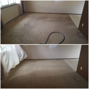 thumbnail_20200206_120639