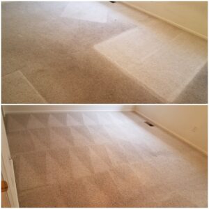 thumbnail_20200206_121757