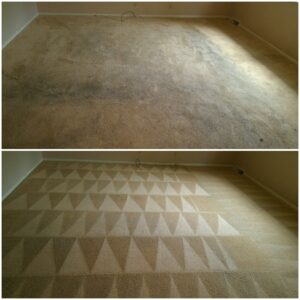 thumbnail_20200206_122016