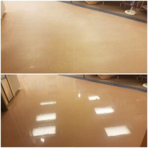 thumbnail_20200206_125946