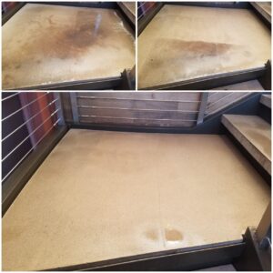 thumbnail_20200206_130230