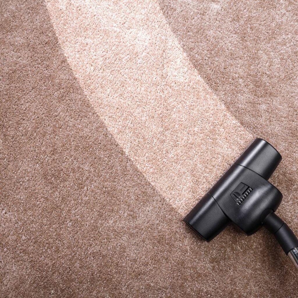 photo of someone cleaning carpet