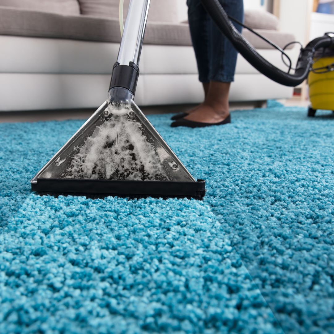photo of someone cleaning carpet