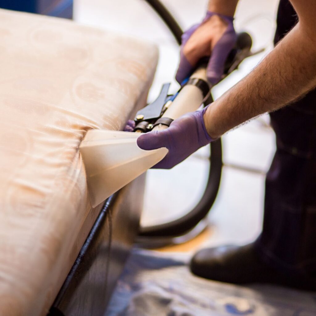 A person cleaning a couch cushion