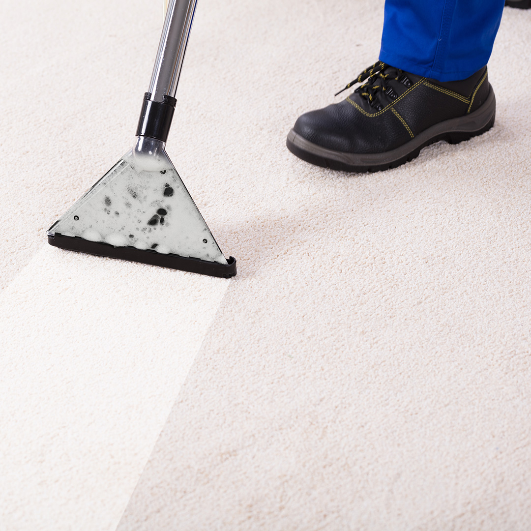 Pet Stain Removal Near Me Options for a Stain-Free Home