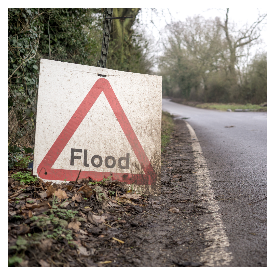 Flood Zone sign