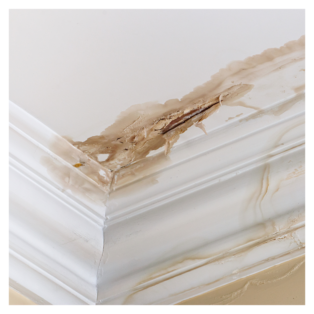 house with water damage