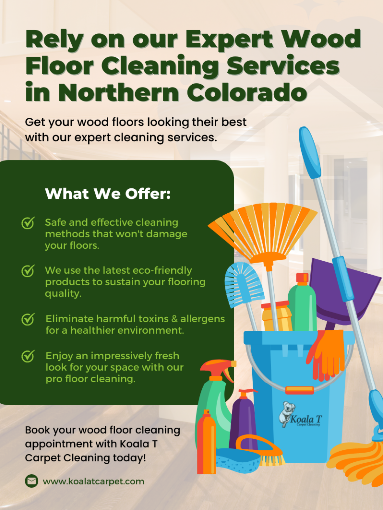 M36247 - Information Design - Infographic - Wood Floor Cleaning