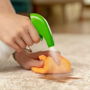 spot cleaning rug