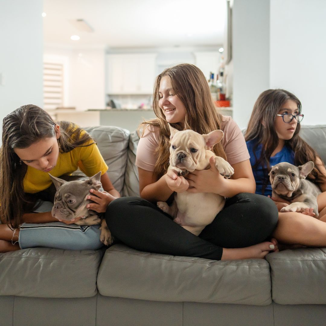 3 siblings each holding a dog on the couch