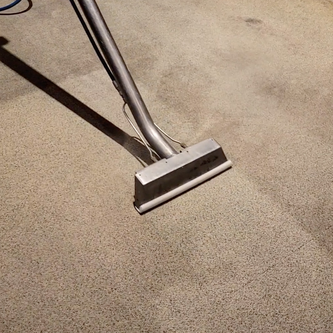 image of commercial carpet cleaning