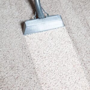 carpet cleaning
