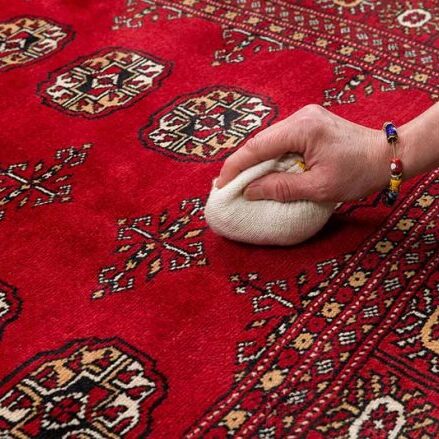 oriental rug-food spills